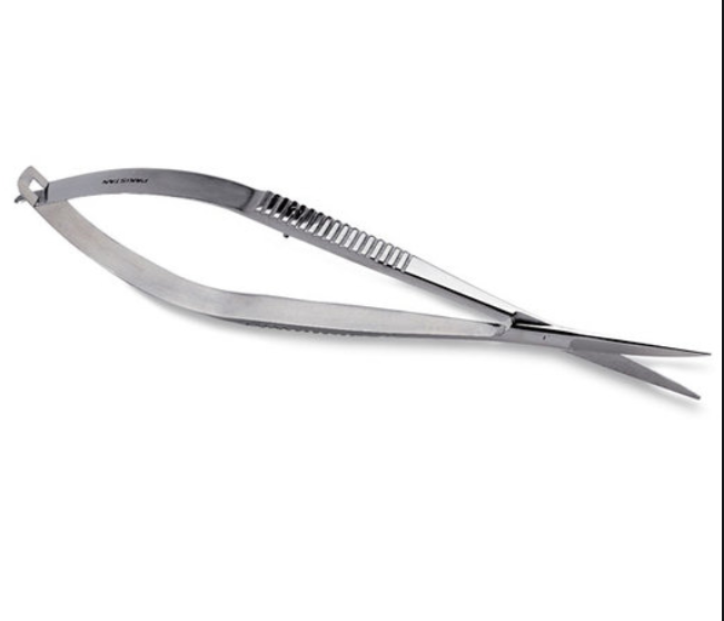 Frazier Brain Cannula, 4" (10.0 Cm), 2.5 Mm Diameter